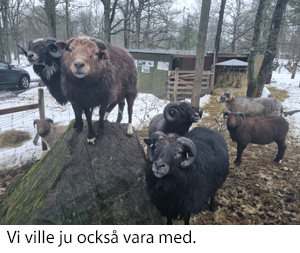 Vi 2022.jpg